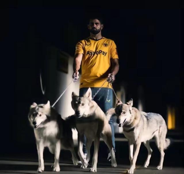 1663067735018090311.jpeg WechatIMG21226.jpeg